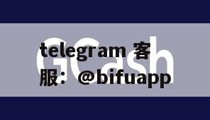 重塑菲律宾支付生态：币付GCash引领代收代付新纪元